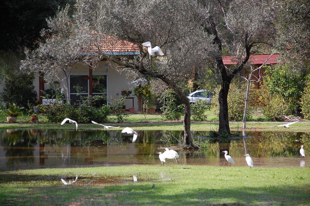 Ein Zurim Guest House 'En Zurim エクステリア 写真